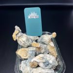 MUSHROOM ( KILLA GORILLA)