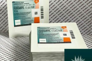 Fentanyl Teva Patches 12UG