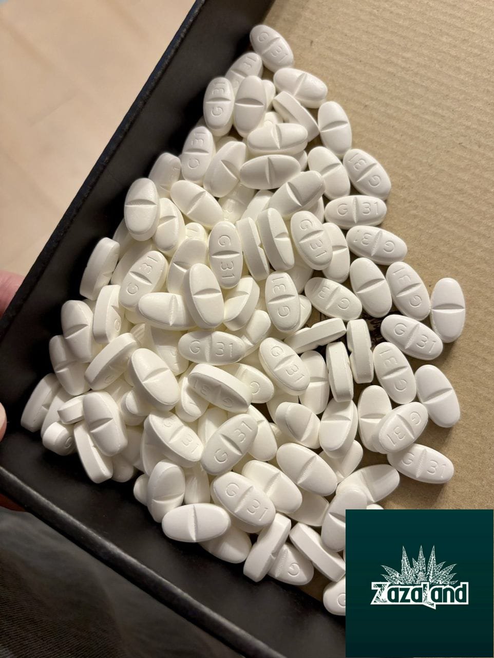 GABAPENTIN 600 MG (G 31)