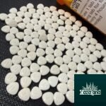 apo dilaudid 8mg