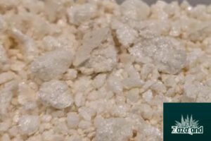 mescaline hcl
